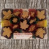 Pure Maple Candy Box 8oz